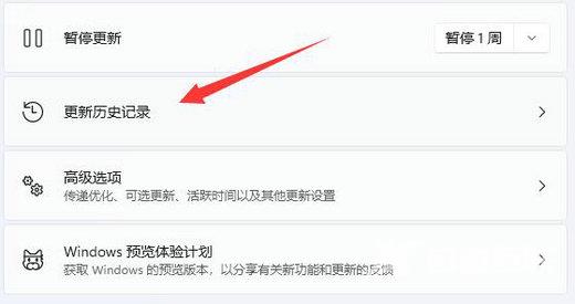 Win11自动更新后变得超级卡怎么解决？