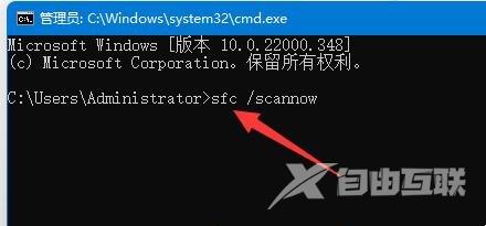 win11鼠标光标不见了怎么办？win11鼠标光标恢复方法