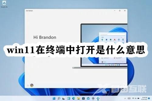 Win11在终端中打开什么意思？Win11在终端中打开如何关闭？