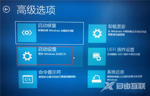 电脑安装win11之后不能联网怎么办？win11更新后无网络解决方法