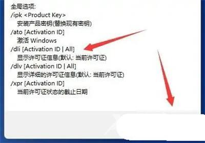 Win11激活信息怎么看？Win11激活信息查看方法