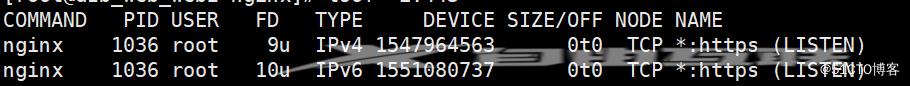 记录一次nginx升级,支持ipv4和ipv6访问https