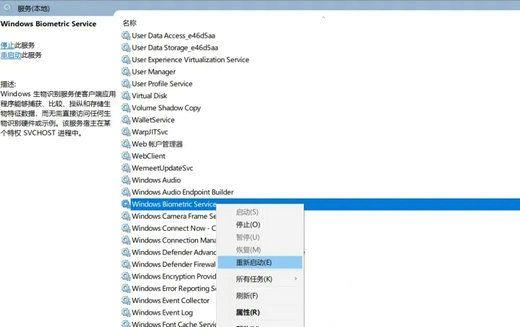 如何解决windows hello人脸识别找不到摄像头？