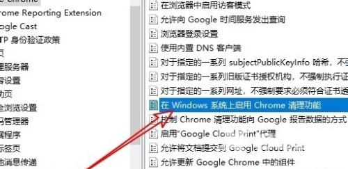 Win10系统如何禁用Chrome清理功能？