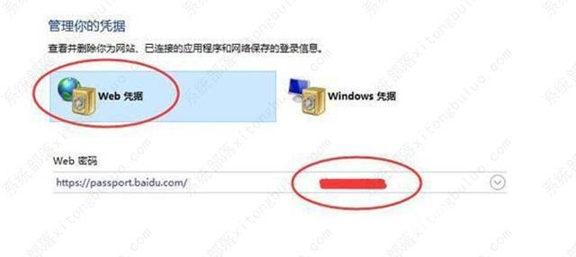 windows11系统账户名和密码怎么看？