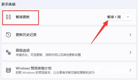 win11怎么暂停更新？win11停止更新设置教程