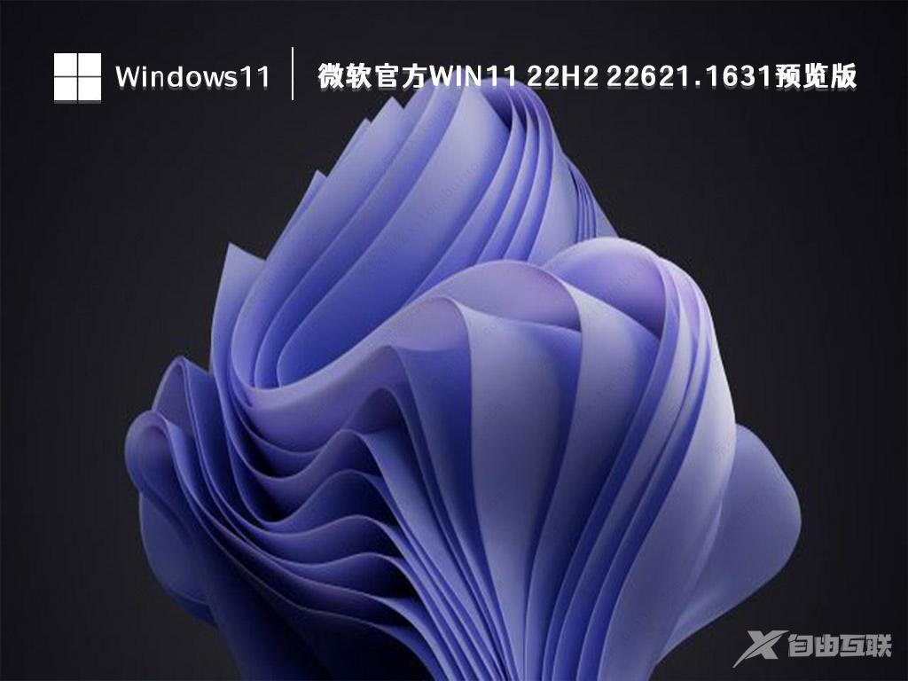 微软Win11 22H2 预览版下载_Windows11 64位 官方预览版 V2023