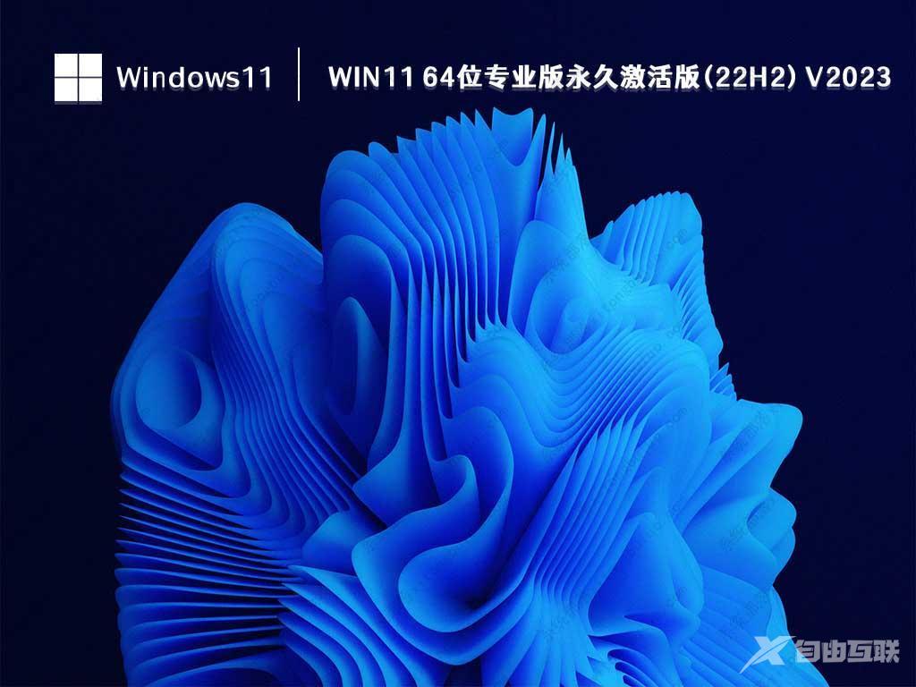 Win11 22H2 专业版下载_Win11 64位专业版ISO镜像(永久激活)下载