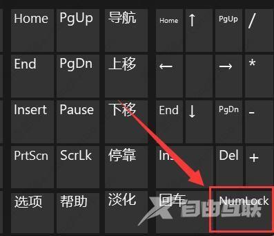 win11键盘打不了字怎么办？win11按键恢复教程