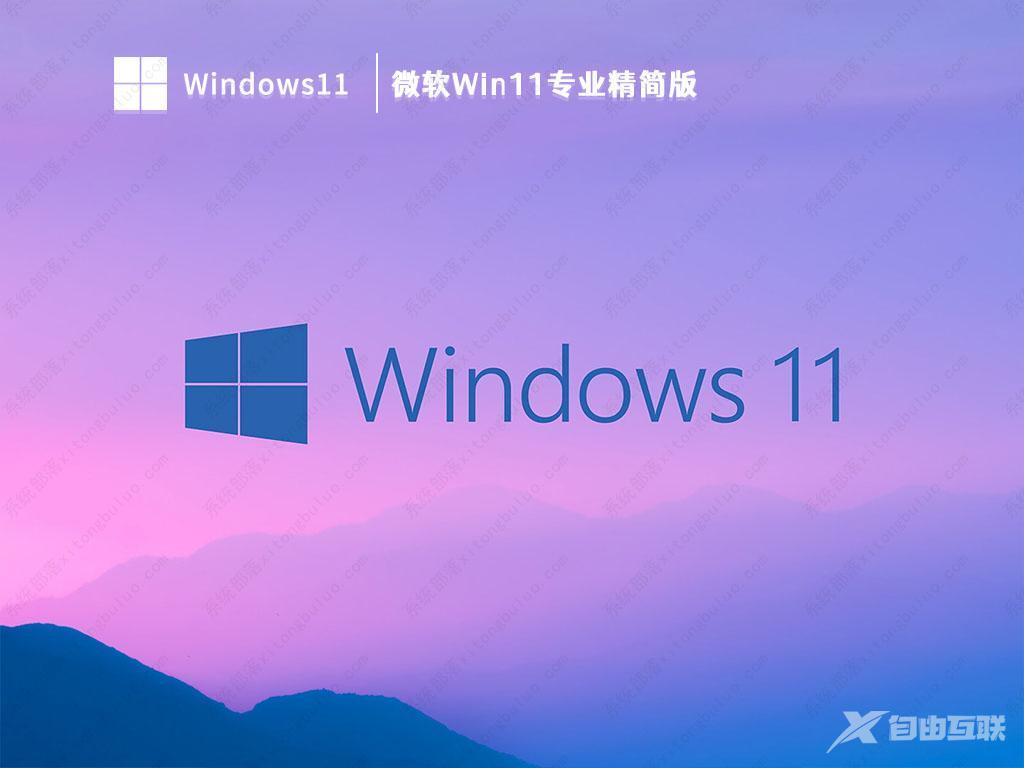 Win11精简纯净版下载_Win11精简纯净版64位