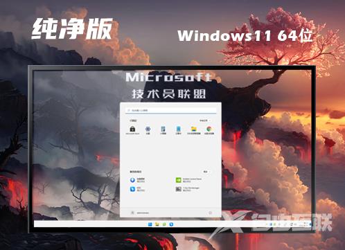 windows11简体中文版系统下载 windows11正式官网版下载