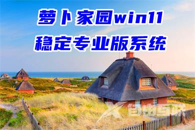 萝卜家园win11稳定专业版系统下载 win11官网中文版系统下载