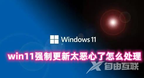 win11强制更新太恶心了怎么处理 win11禁止自动更新的方法分享