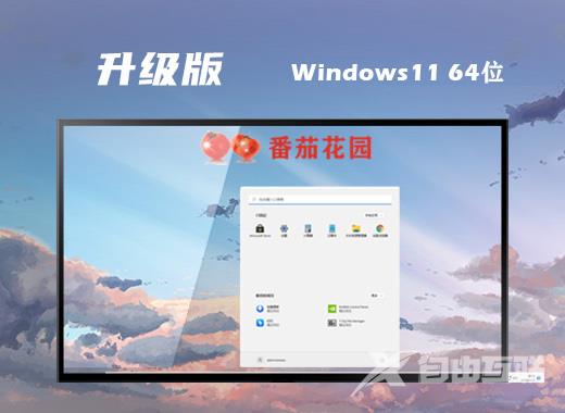 番茄花园win11系统64位优化最新版下载 windows11系统稳定镜像文件下载