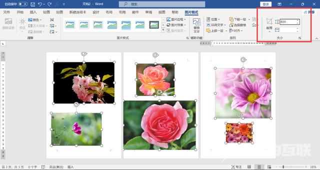 如何一次性调节word所有图片大小 word统一调整图片尺寸怎么操作