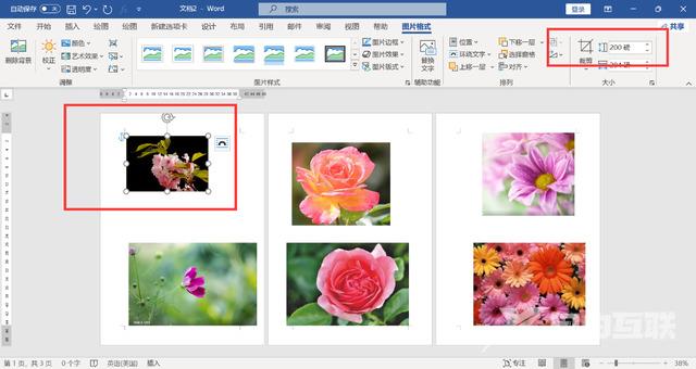 如何一次性调节word所有图片大小 word统一调整图片尺寸怎么操作