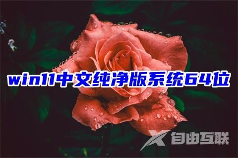 win11中文纯净版系统64位