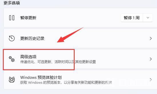 win11网络怎么设置最快 win11网络速度优化设置方法大全