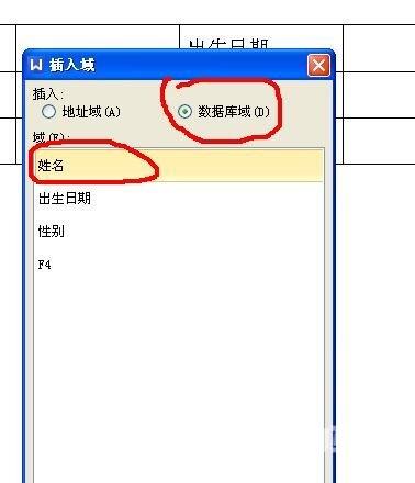 怎么把excel表格复制到word表格里 excel表格完美导入word表格方法介绍