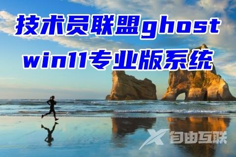 技术员联盟ghost win11专业版系统