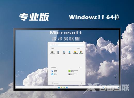 技术员联盟win11官方专业版系统下载 windows11最新安装版系统iso镜像下载