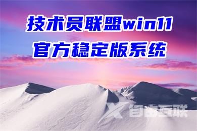 技术员联盟win11官方稳定版系统