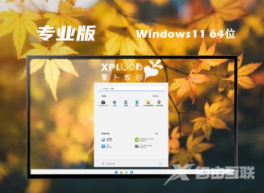萝卜家园windows11官方精简版系统下载 win11免激活正式版系统下载
