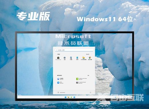 技术员联盟ghost win11专业版系统下载 windows11免费中文版镜像文件下载