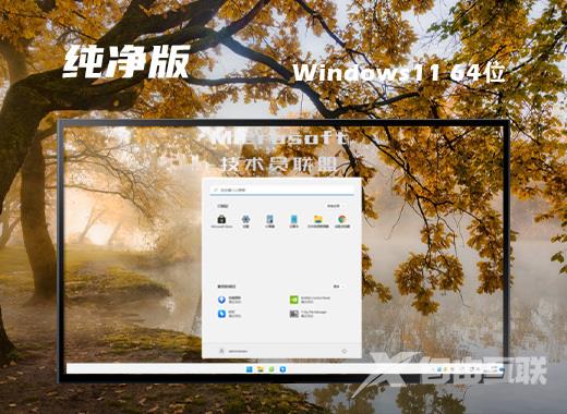 技术员联盟win11系统64位专业版下载 win11系统稳定iso镜像文件下载