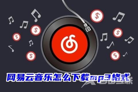 网易云音乐怎么下载mp3格式 网易云ncm一键转mp3格式教程