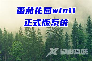 番茄花园win11正式版系统下载 ghost win11系统64位镜像下载