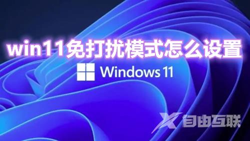 win11免打扰模式怎么设置 win11从不通知功能打开步骤介绍