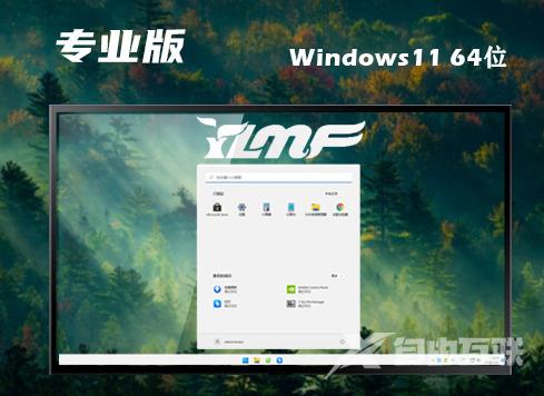 win11专业版系统官网下载地址 win11专业正式最新原版下载