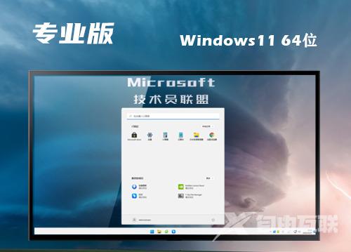 win11专业版下载原版 win11专业官方版镜像文件下载