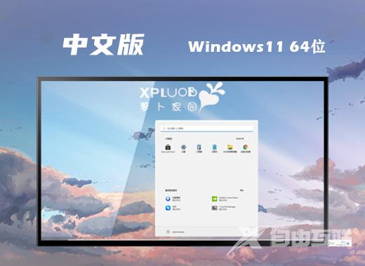 萝卜家园win11稳定专业版系统下载 win11官网中文版系统下载