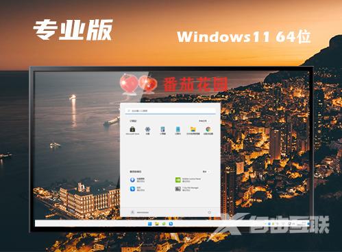 win11中文专业版下载 win11专业官方正式版下载