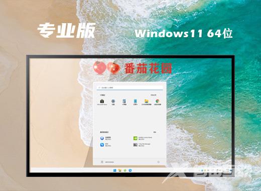 番茄花园ghost win11中文版系统下载 windows11系统最新免激活镜像文件下载