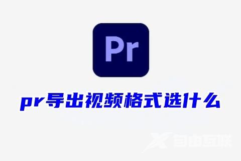 pr导出视频格式选什么