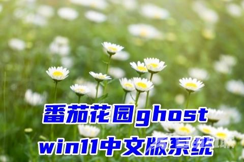 番茄花园ghost win11中文版系统