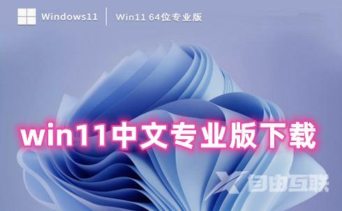 win11中文专业版下载 win11专业官方正式版下载