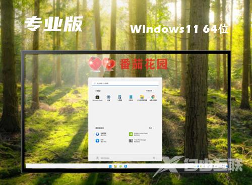 win11专业版原版下载 win11官网中文版镜像文件下载