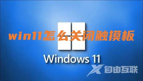 win11怎么关闭触摸板 win11触摸板禁用设置方法介绍