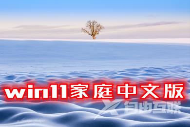 win11家庭中文版系统