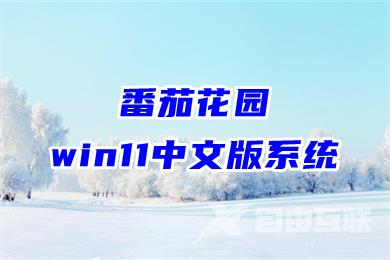 番茄花园win11中文版系统