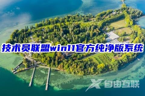 技术员联盟win11官方纯净版系统