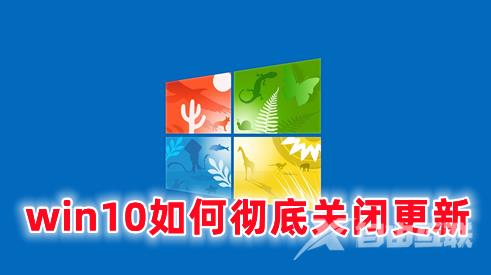 win10如何彻底关闭更新 win10系统关闭自动更新的方法分享