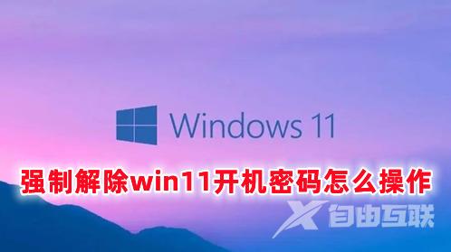 强制解除win11开机密码怎么操作 win11怎么取消开机密码