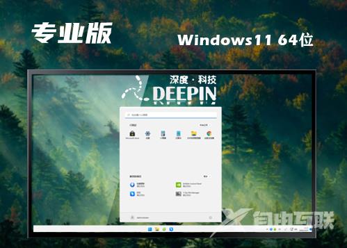 win11最新专业版下载 win11专业正式中文版下载