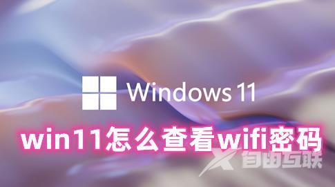 win11怎么查看wifi密码 win11查看已连接的wifi密码的方法分享