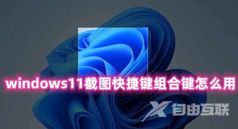 windows11截图快捷键组合键怎么用 windows11如何截图的方法分享